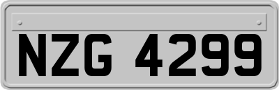 NZG4299