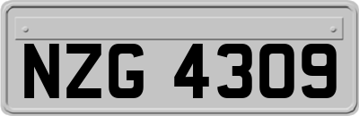 NZG4309