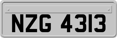 NZG4313