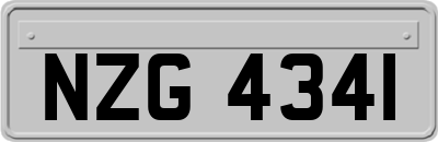 NZG4341