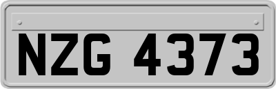 NZG4373