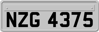 NZG4375