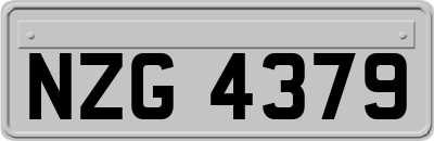 NZG4379