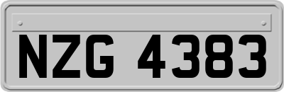 NZG4383