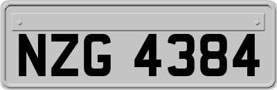 NZG4384