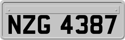 NZG4387