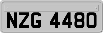 NZG4480