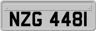 NZG4481