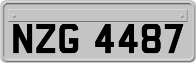 NZG4487