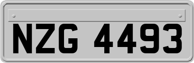 NZG4493