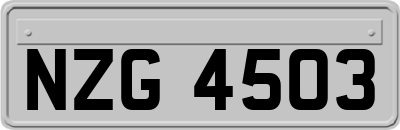 NZG4503