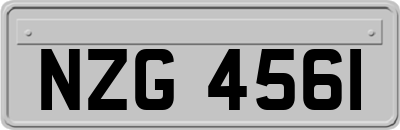 NZG4561