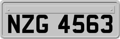 NZG4563