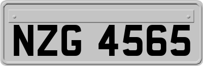 NZG4565