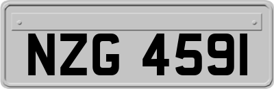 NZG4591