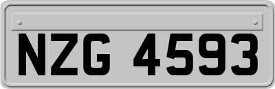 NZG4593