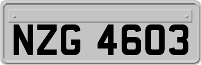 NZG4603