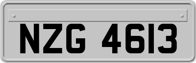 NZG4613