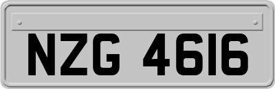 NZG4616