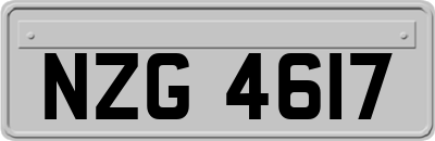 NZG4617