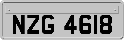 NZG4618