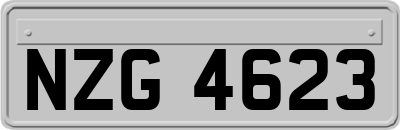 NZG4623