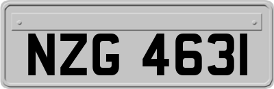 NZG4631