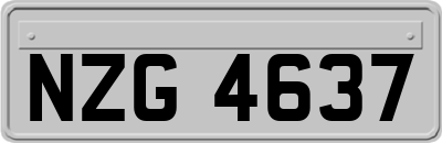 NZG4637