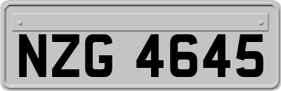 NZG4645