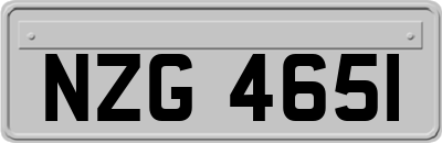 NZG4651