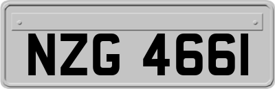 NZG4661