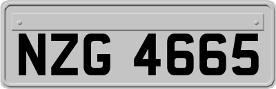 NZG4665