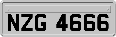 NZG4666