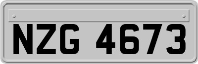 NZG4673