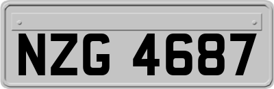 NZG4687