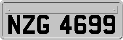 NZG4699