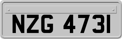 NZG4731