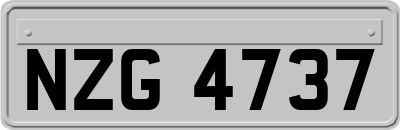 NZG4737