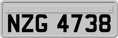 NZG4738
