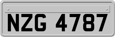 NZG4787