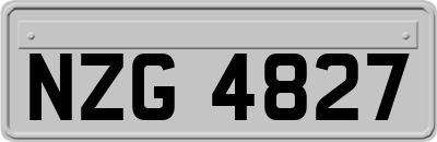 NZG4827