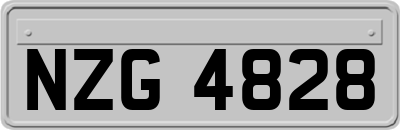 NZG4828