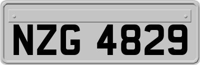 NZG4829