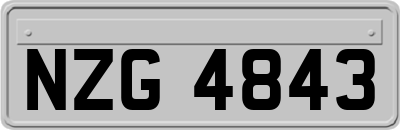 NZG4843