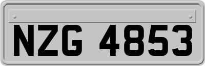 NZG4853