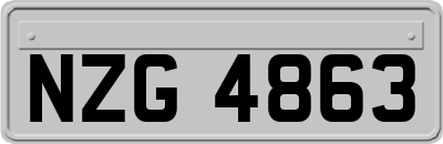 NZG4863