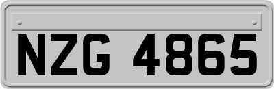 NZG4865