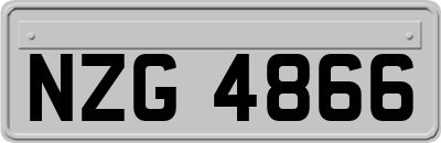 NZG4866