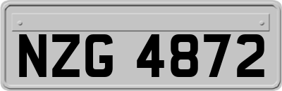 NZG4872