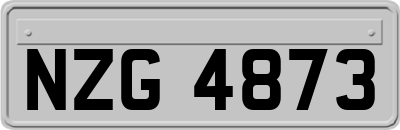NZG4873